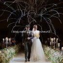 빅트리(Bigtree) 이미지