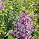 오성농원 이미지