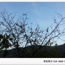 대봉약수터 이미지