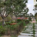 노블정형외과의원 이미지