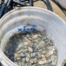 배가정원민박 이미지