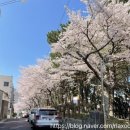 어린이공원 32호 이미지