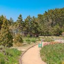 천리포수목원 이미지