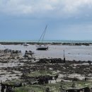 김 약 국 이미지