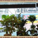 연세청춘치과의원 이미지