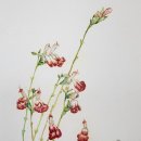 즐거운 색연필화 이미지