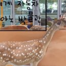 홍교수산 이미지