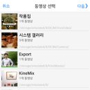 비바비디오 이미지