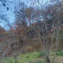 산수골농장 이미지