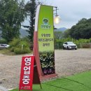 영장3리 이미지