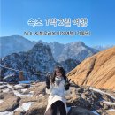 형제닭집 | 속초 1박2일 여행 - NOL &amp; 블루리본 미식여행