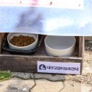 지산동물병원 이미지