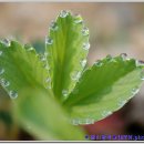 달맞이펜션 이미지