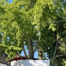 바이드302 이미지