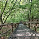 광덕산3로1L | 🌲 충청도 광덕산 등산 코스 추천