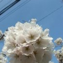 김미숙농장 이미지