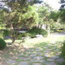태선 농장 Daum카페