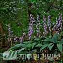 한라전설(주) 이미지