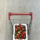 다인농장 이미지