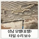 중원모텔 | 성남 화장실타일깨짐 깨진타일보수 전문 시공 후기 모란 모텔(호텔)