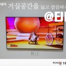 티비원