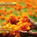 광일문화사 이미지