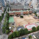 부산시교육청 신청사 후보지 시청 뒤·서면 압축 이미지