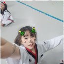 고려 참 태권도장 이미지