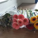 대랑농장 이미지