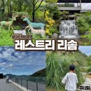 6144 | 레스트리 리솜 G40 타워 클린 아이와함께 여행 제천리조트 숙소 산책 주변 리뷰