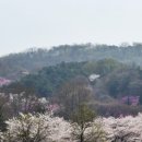 부천종합운동장(차량등록과 앞) 이미지