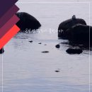 물멍물멍 이미지