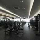 시그널 크로스핏 이미지