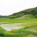 구례포해수욕장(먼동) 이미지