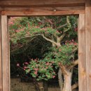 주주산방