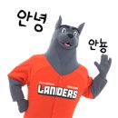 ⚾🛸ㅆㄷ ㅇㅋㅇㅌ ㄱㄱ🛸⚾ 이미지