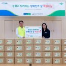 농협홍삼종로