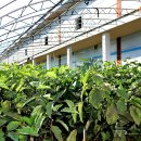 행복에너지1발전소 이미지