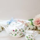 도그 블라썸 이미지