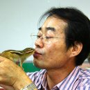 꿈꾸는동산 이미지