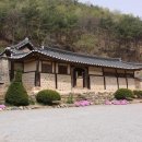 예산꽃
