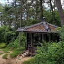 가람약품 이미지