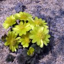 봄바람하우스 이미지