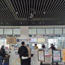 국립부여박물관 기획전시실 | 세종 아이랑 실내놀이 국립어린이박물관 기획전시실 방문 후기 1