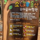 쌈지거제