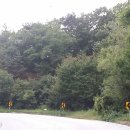 수목부동산공인중개사사무소 이미지