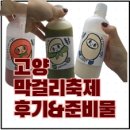 구름산어린이집 | [고양 축제] 고양막걸리축제 후기&amp;막걸리 추천&amp;준비물!