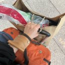 크린하우스세탁 | 밴쿠버로 본격 출국하기(임시숙소 후기 , 다운타운 구경, 짐싸기 꿀팁 등)