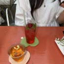 서울 다이어트약 성지 신논현 다이어트약 내돈내산 감량후기 전후사진