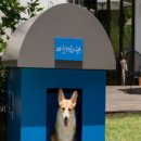 따숩개하우스 이미지